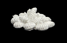 Load image into Gallery viewer, 48-0999:  Were-Clam Swarm