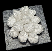 Load image into Gallery viewer, 48-0999:  Were-Clam Swarm