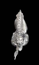 Load image into Gallery viewer, 49-0049: Dragon Lizard