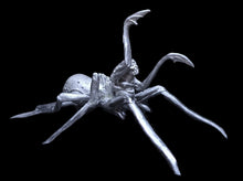 Load image into Gallery viewer, 49-0070: Spider Mutant