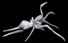 Load image into Gallery viewer, 49-0070: Spider Mutant