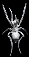 Load image into Gallery viewer, 49-0070: Spider Mutant