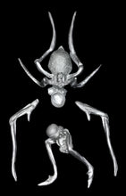 Load image into Gallery viewer, 49-0070: Spider Mutant