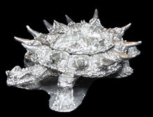 Load image into Gallery viewer, 49-0095: War Turtle