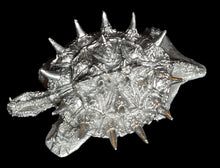 Load image into Gallery viewer, 49-0095: War Turtle