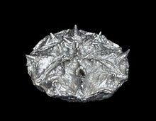 Load image into Gallery viewer, 49-0095: War Turtle