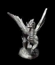 Load image into Gallery viewer, 49-0127: Small Drake