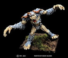 Load image into Gallery viewer, 49-0271:  Yheti