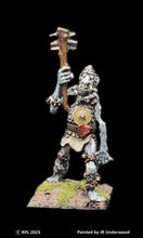 Load image into Gallery viewer, 49-0307: Cloud Giant, Armored