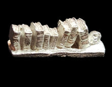 Load image into Gallery viewer, 49-9032: Shelf of Books