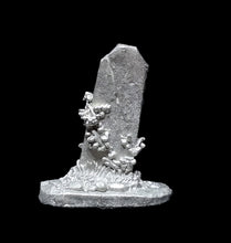 Load image into Gallery viewer, 49-9577: Monolith with Overgrowth