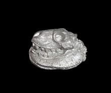 Load image into Gallery viewer, 49-9668: Large Skull