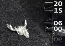 Load image into Gallery viewer, 49-9669: Horned Skull