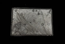 Load image into Gallery viewer, 49-9961: Battlefield, with Corpse