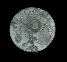 Load image into Gallery viewer, 49-9981: Pond