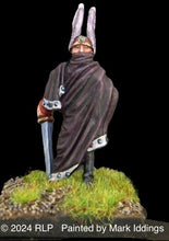 Load image into Gallery viewer, 50-0016: Sea Elf Swordsman, Cloaked