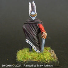 Load image into Gallery viewer, 50-0016: Sea Elf Swordsman, Cloaked