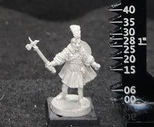 Load image into Gallery viewer, 50-0062:  Elf Warlord with Hammer and Round Shield