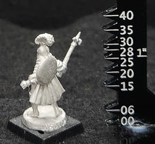 Load image into Gallery viewer, 50-0062:  Elf Warlord with Hammer and Round Shield