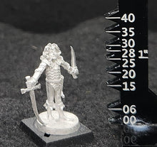 Load image into Gallery viewer, 50-0063:  Elf Warlord with Sword and Dagger