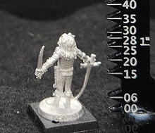 Load image into Gallery viewer, 50-0063:  Elf Warlord with Sword and Dagger