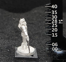 Load image into Gallery viewer, 50-0063:  Elf Warlord with Sword and Dagger