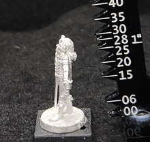 Load image into Gallery viewer, 50-0063:  Elf Warlord with Sword and Dagger