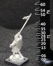 Load image into Gallery viewer, 50-0064:  Elf Warlord with Pike