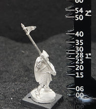 Load image into Gallery viewer, 50-0064:  Elf Warlord with Pike
