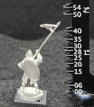 Load image into Gallery viewer, 50-0064:  Elf Warlord with Pike