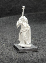 Load image into Gallery viewer, 50-0092:  Elf Wizard with Staff