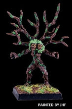 Load image into Gallery viewer, 50-0264: Dryad Champion
