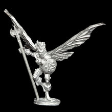 Load image into Gallery viewer, 50-0527: Fairy Warrior with Round Shield, Weapon Options