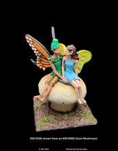 Load image into Gallery viewer, 50-0546:  Greater Fairy Partners, Seated