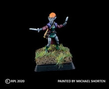 Load image into Gallery viewer, 50-0592:  Fae Hero with Swords