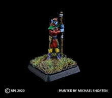 Load image into Gallery viewer, 50-0593:  Fae Hero with Staff