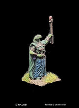 Load image into Gallery viewer, 50-0654: Snakeman Sorcerer