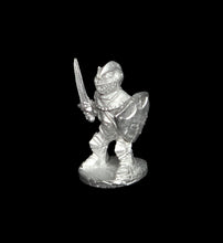 Load image into Gallery viewer, 50-2983: Gnome Paladin