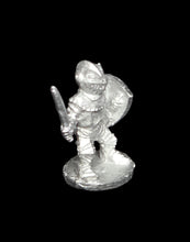 Load image into Gallery viewer, 50-2983: Gnome Paladin