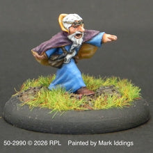 Load image into Gallery viewer, 50-2990: Gnome Mage