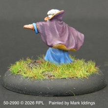 Load image into Gallery viewer, 50-2990: Gnome Mage