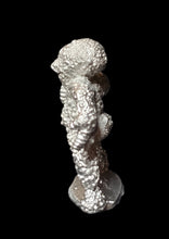 Load image into Gallery viewer, 51-0759: Plague Demon with Tentacles