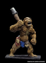 Load image into Gallery viewer, 51-0832: Hill Troll with Truncheon