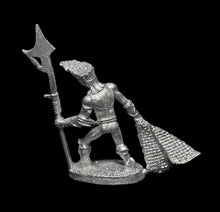 Load image into Gallery viewer, 51-4056: Dark Elf Beastmaster with Net and Polearm
