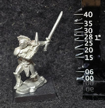 Load image into Gallery viewer, 51-4087: Dark Elf Master Assassin with Sword and Dagger