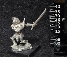 Load image into Gallery viewer, 51-4087: Dark Elf Master Assassin with Sword and Dagger