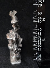 Load image into Gallery viewer, 51-7769: The Thing in the Fog