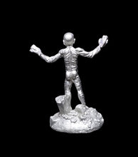 Load image into Gallery viewer, 51-7848: Acolyte