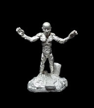 Load image into Gallery viewer, 51-7848: Acolyte