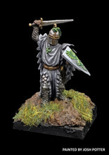 Load image into Gallery viewer, 52-1114: Foot Knight (Sir Gawayne)